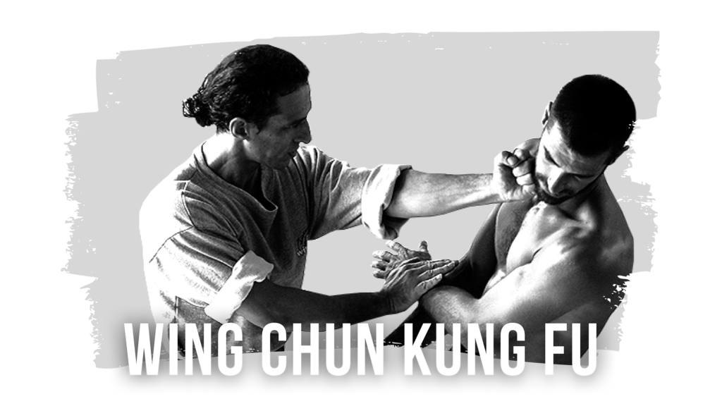 wing-chun-kung-fu-toulouse-the-temple-arts-martiaux-et-sports-de-combat