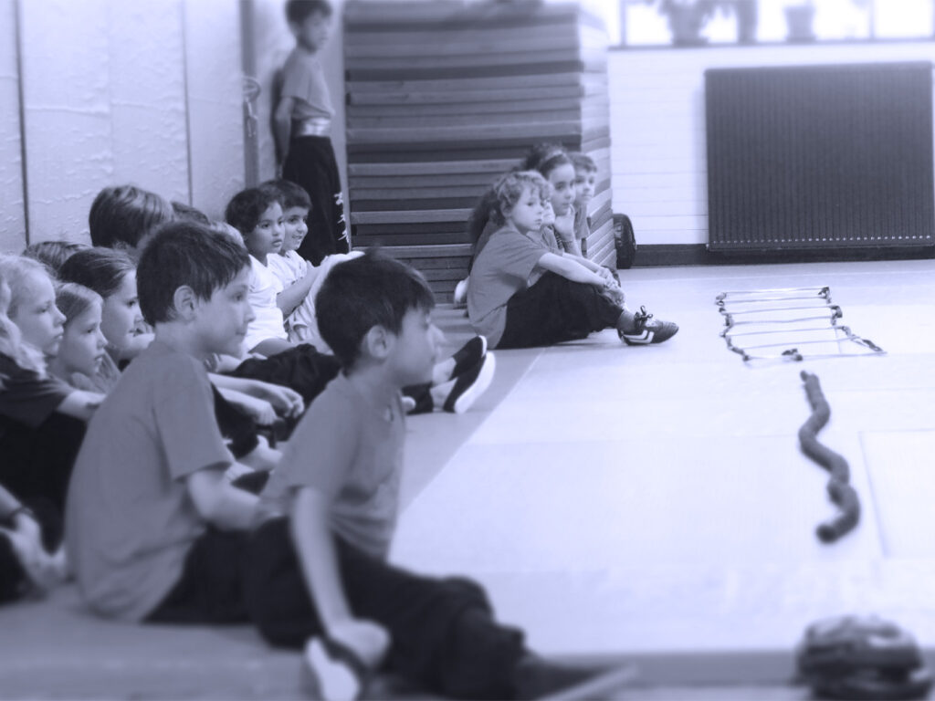 kung fu enfant toulouse