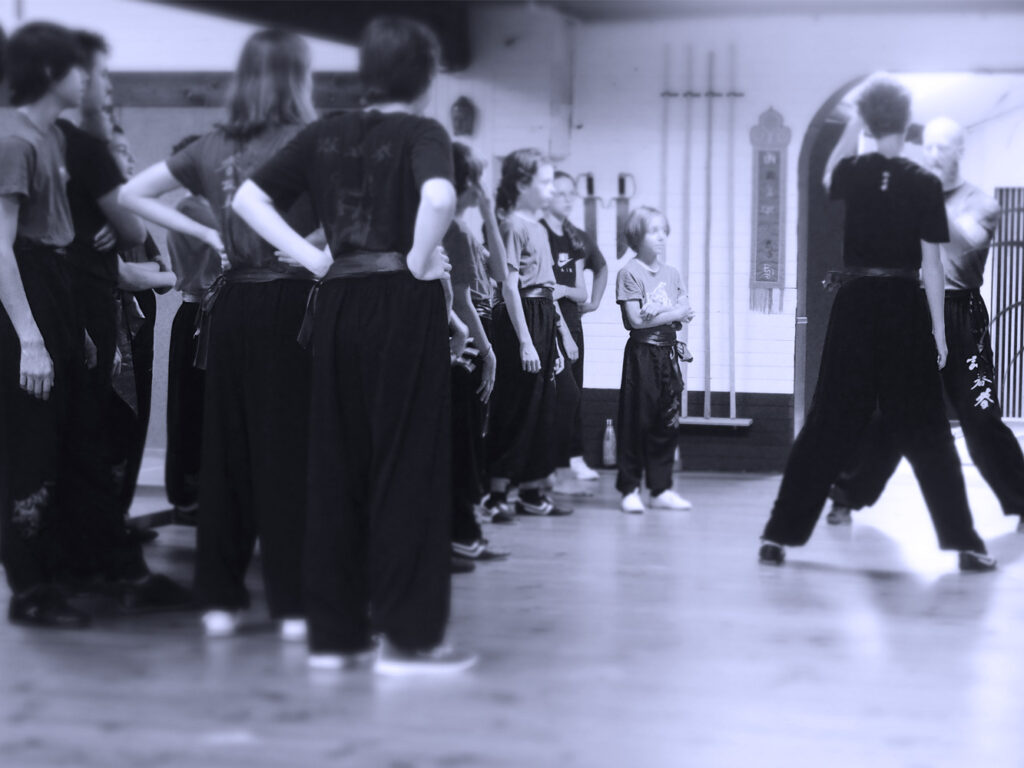 wing chun kung fu ados toulouse