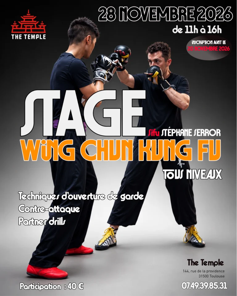 stage wing chun combat